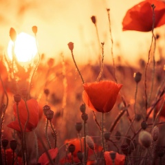 Елена Тухбатуллина, 22.02