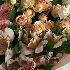 Samal De, Алматы