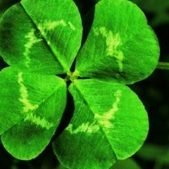 Виктор Петров, 01.01.1987