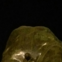 Dima Stankevich, 27.06