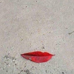 Елена Терра, 20.01, Санкт-Петербург