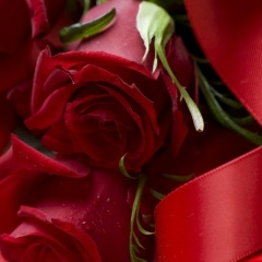 Елена Уздемир