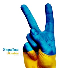 Инна Болдовская, 30.06.1988, Харьков