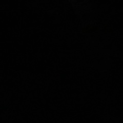 Микола Груць, New York City