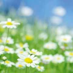 Дарья Иванова, 03.06.1985, Москва