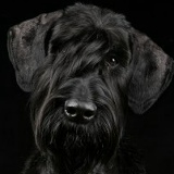 Александр Носок, 23.07.1983, Запорожье