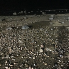 Сергей Вихров, 22.10, Санкт-Петербург