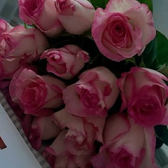 Феруза Бейсегулова, Алматы