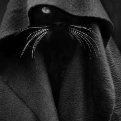 Костя Сахарчук, 07.08, Новороссийск