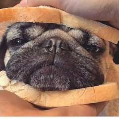 Paing Htet, 26.07.1990