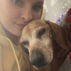 Ольга Шабан, 28.12, Los Angeles