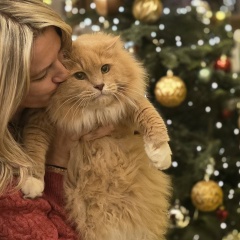 Ирина Трушина-Фелиз, 30.12, Санкт-Петербург