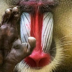 Артем Белов, 25.09, Москва