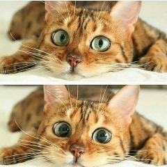 Гюнель Гаджиева, 24.02.1994, Баку