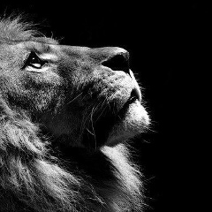 Мадияр Аширхан, 02.07.1991, Кентау