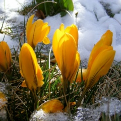 Наталья Федорова, 22.12