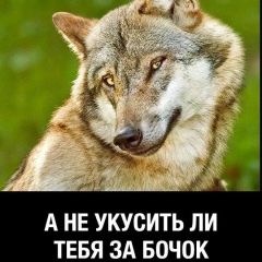 Тимур Муллаянов, 17.07.1979, Санкт-Петербург