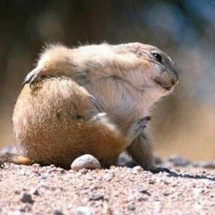 Павел Кузнецов, 24.09.1983, Москва