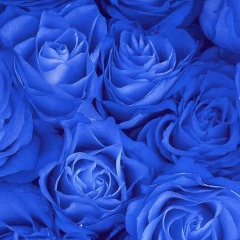 Дарига Маликовская, 23.03, Караганда