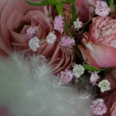 Евгения Ханова, Альметьевск