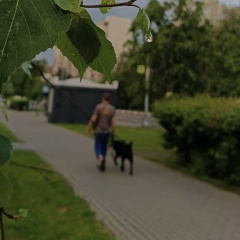 Александр Савельев, 12.04, Саратов