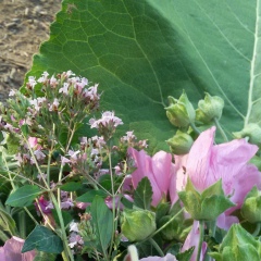 Асия Касымова, 05.05.1980