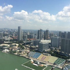 Дмитрий Г, Санкт-Петербург