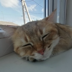 Виталий Кыдымаев, Уссурийск