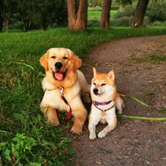 Светлана Серегина, 25.12, Санкт-Петербург