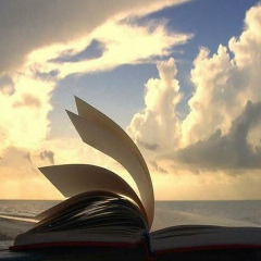 Владимир Брагин