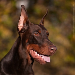 Ольга Дунчик, 25.10, Санкт-Петербург