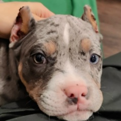 Алексей Черныш, 13.11.1988, Москва