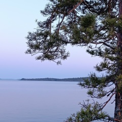 Надежда Ким, 18.01, Санкт-Петербург