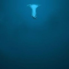 Айдос Кисаменов, 22.09