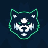 Артур Магомедов