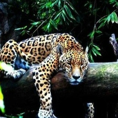 Георгий Богамолов, 29.10.1920, Великий Новгород