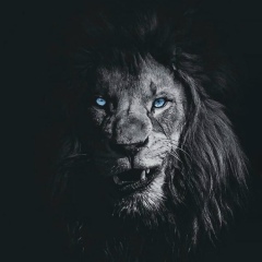 Ардак Адранов, 01.06.1990, Кызылорда