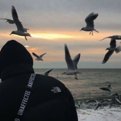 Тимур Тимаров, Москва