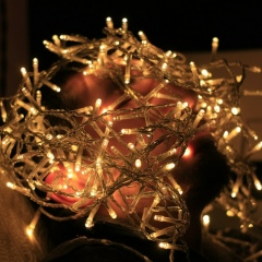 Александр Никитин, 02.12.1981, Санкт-Петербург