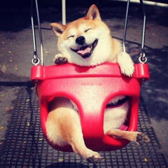 Сара Ондасынова, 24.01.1993, Алматы