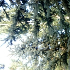 Азамат Таласбаев, 24.06.1989, Актау