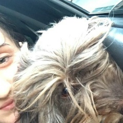 Ани Даллакян, Горис