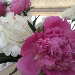 Alessia Kovalenko, 21.12, Санкт-Петербург