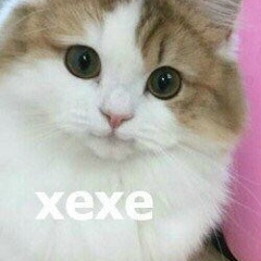 Меруерт Рахимова, 10.03, Актау