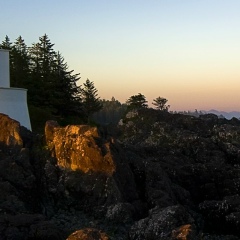 Макс Тулапин, 01.01.1981, Коломна