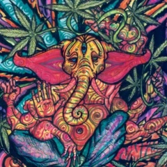 Станислав Кобелев, 19.06.1985, Красноярск