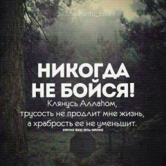 Алимбек Сайтжанов, 26.11