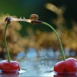 Оленька Загидуллина, 03.12.1976, Казань