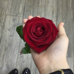 Зульфия Хабиева, Москва