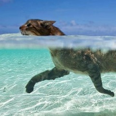 Денис За, 29.12.1978, Санкт-Петербург